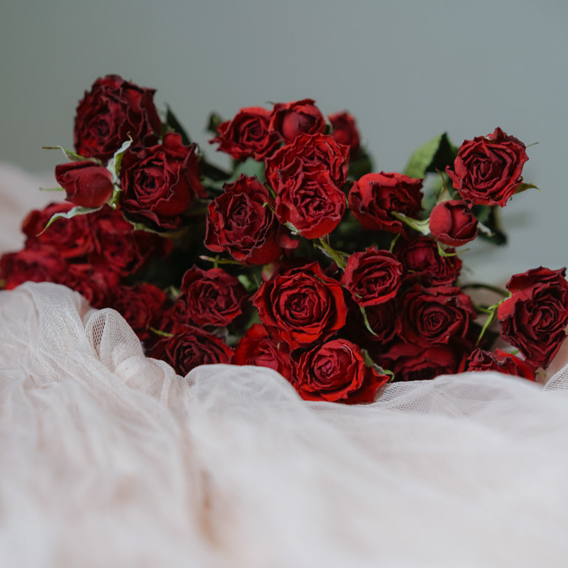 蔷薇干花花束价格 蔷薇干花花束图片 星期三