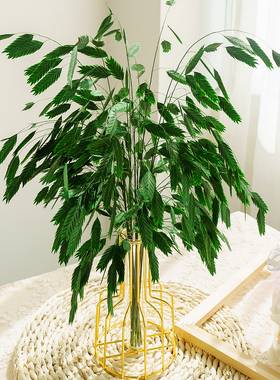 永生小盼草干花花束家居装饰摆件ins网红风动草砖石草拍摄道具
