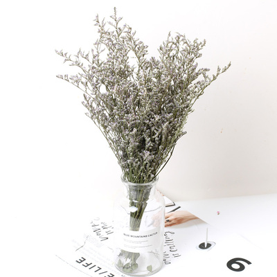 水晶花情人草干花配花云南花材