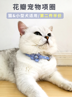 宠物项圈猫咪小型犬安全扣颈圈防窒息幼猫牵引脖圈舒适不勒可调节