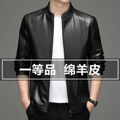 休闲真皮男士海宁夹克短款立领