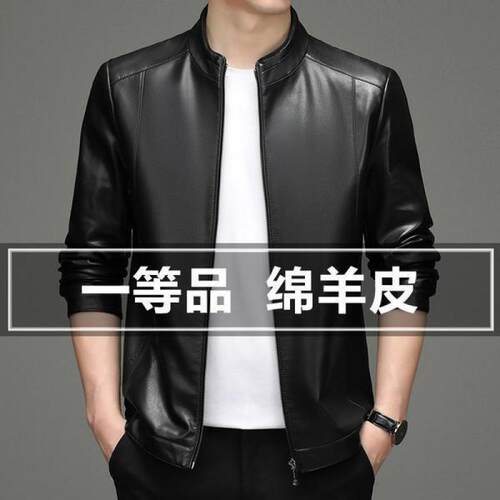 海宁春秋真皮男士立领绵羊皮皮衣