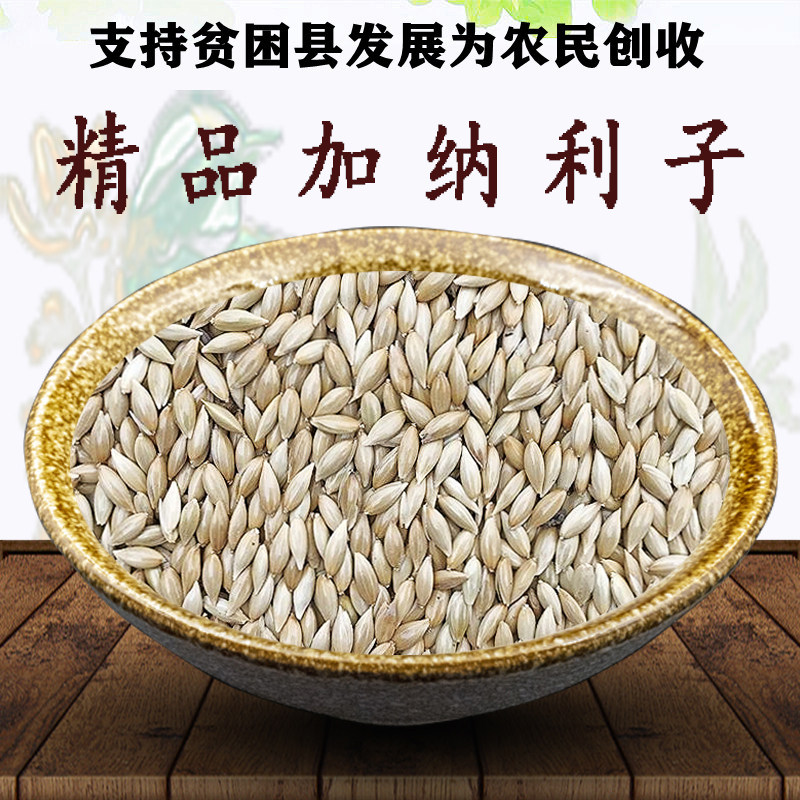 新营养健康新加纳利子