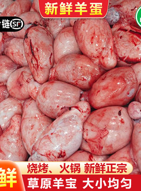 羊蛋新鲜烧烤冷冻腰子男用羊肉