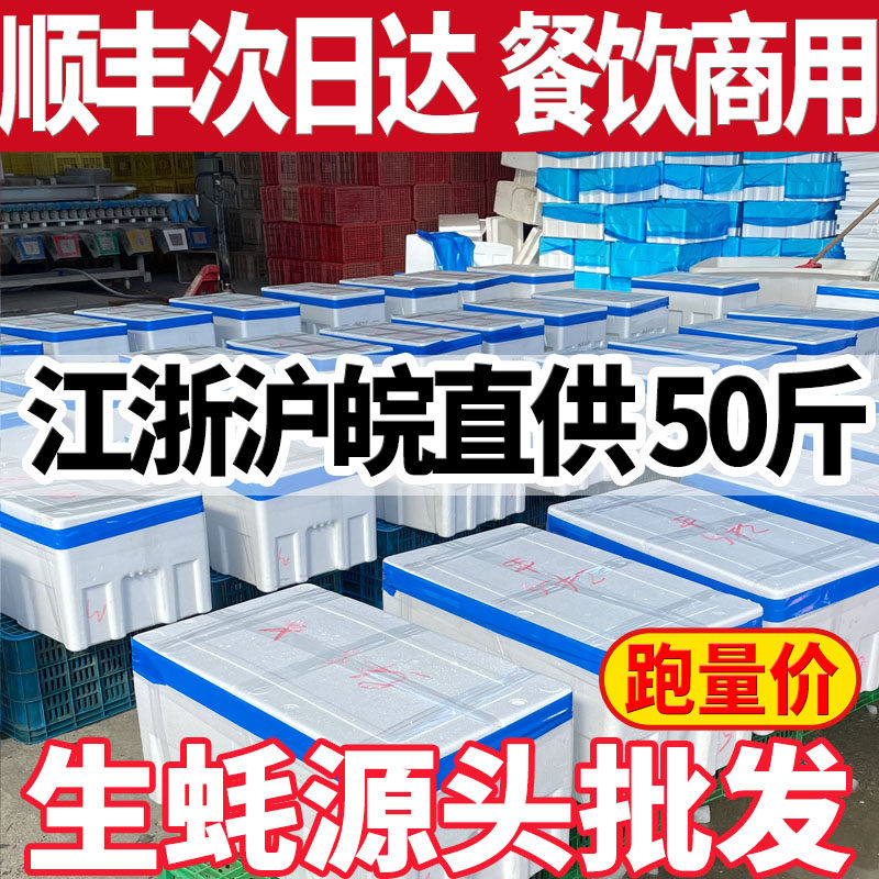 50斤100斤鲜活乳山生蚝批发海蛎子餐饮摆摊烧烤店高压锅生蚝专用