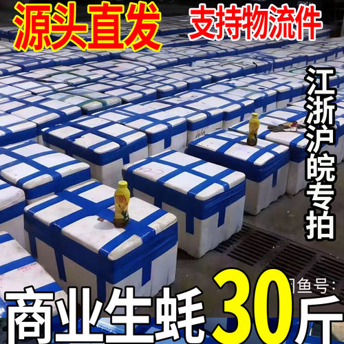 30斤鲜活乳山生蚝批发50斤海蛎子牡蛎餐饮烧烤摆摊高压锅生蚝专用