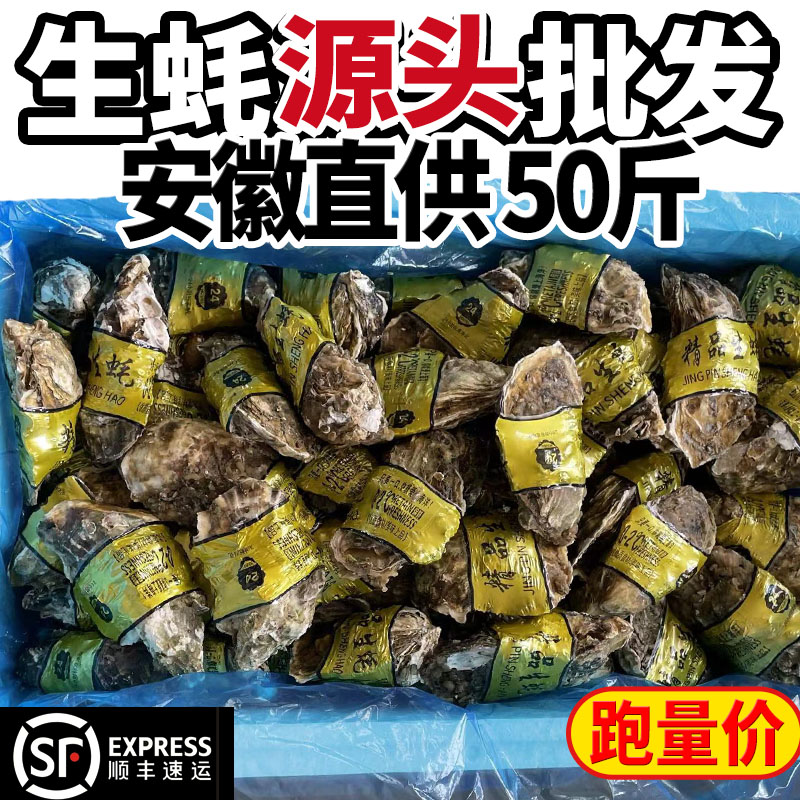 安徽直达鲜活山东生蚝批发100贝类制品