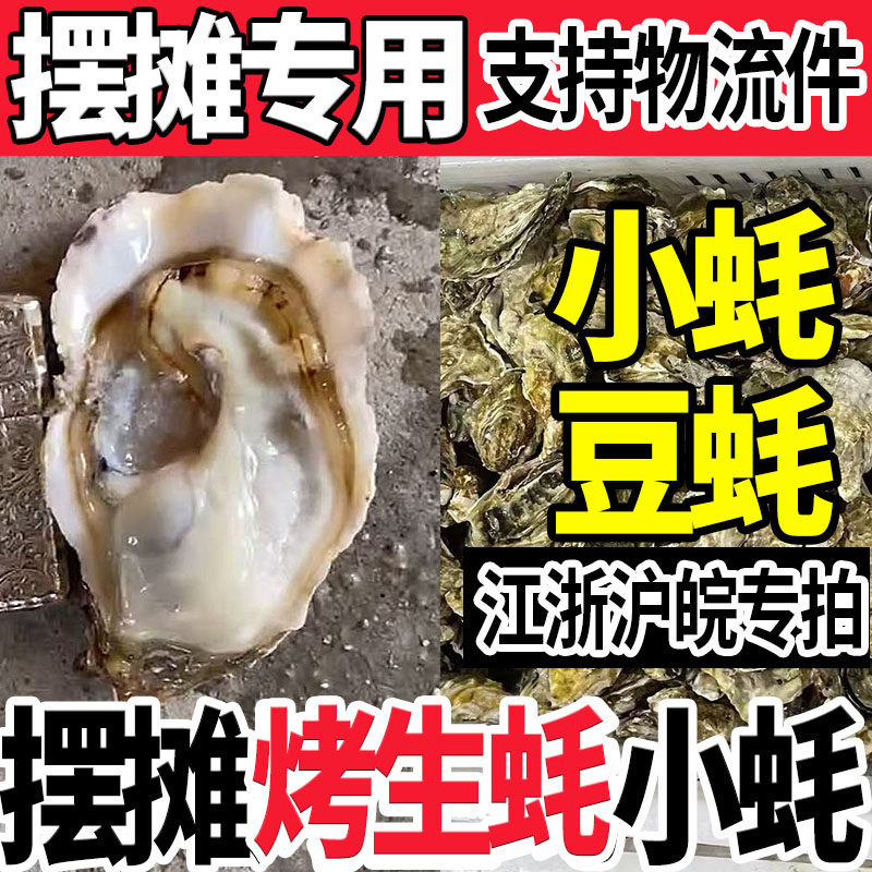 鲜活山东生蚝批发100/50斤海蛎子牡蛎餐饮烧烤摆摊高压锅生蚝