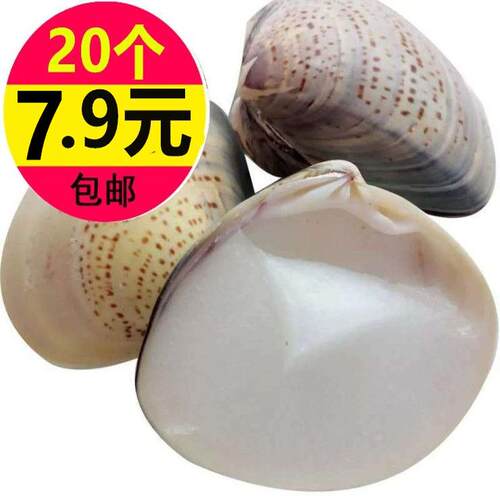 蛤蜊油护手霜贝壳油嘎啦老式歪歪油歪子蚌壳防裂膏哈利油保湿滋润