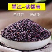 2025年云南墨江紫米紫糯米老品种血糯米1kg饭团材料紫米粥新米