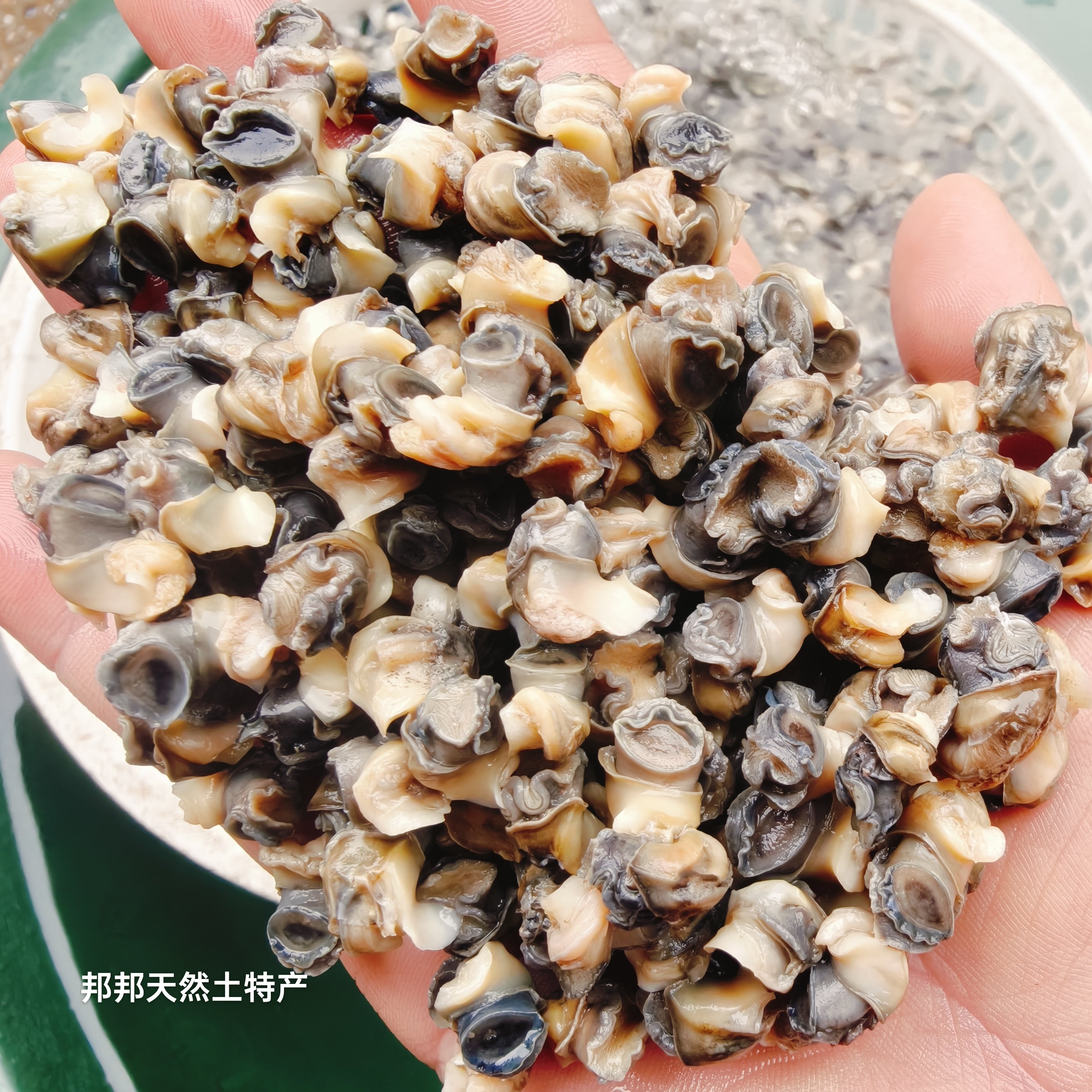湖南衡阳池塘野生石螺肉新鲜螺丝肉田螺肉手工现挑无泥沙非常干净