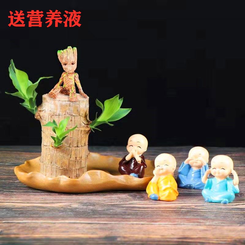 网友分享在meiguo.com的图片