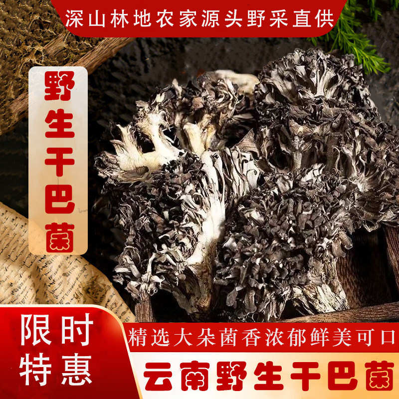 云南野生新鲜干巴菌干货