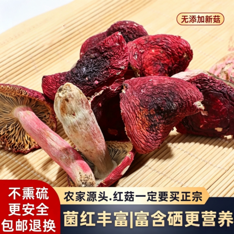 郝劭文福建正宗三明野生红菇500g