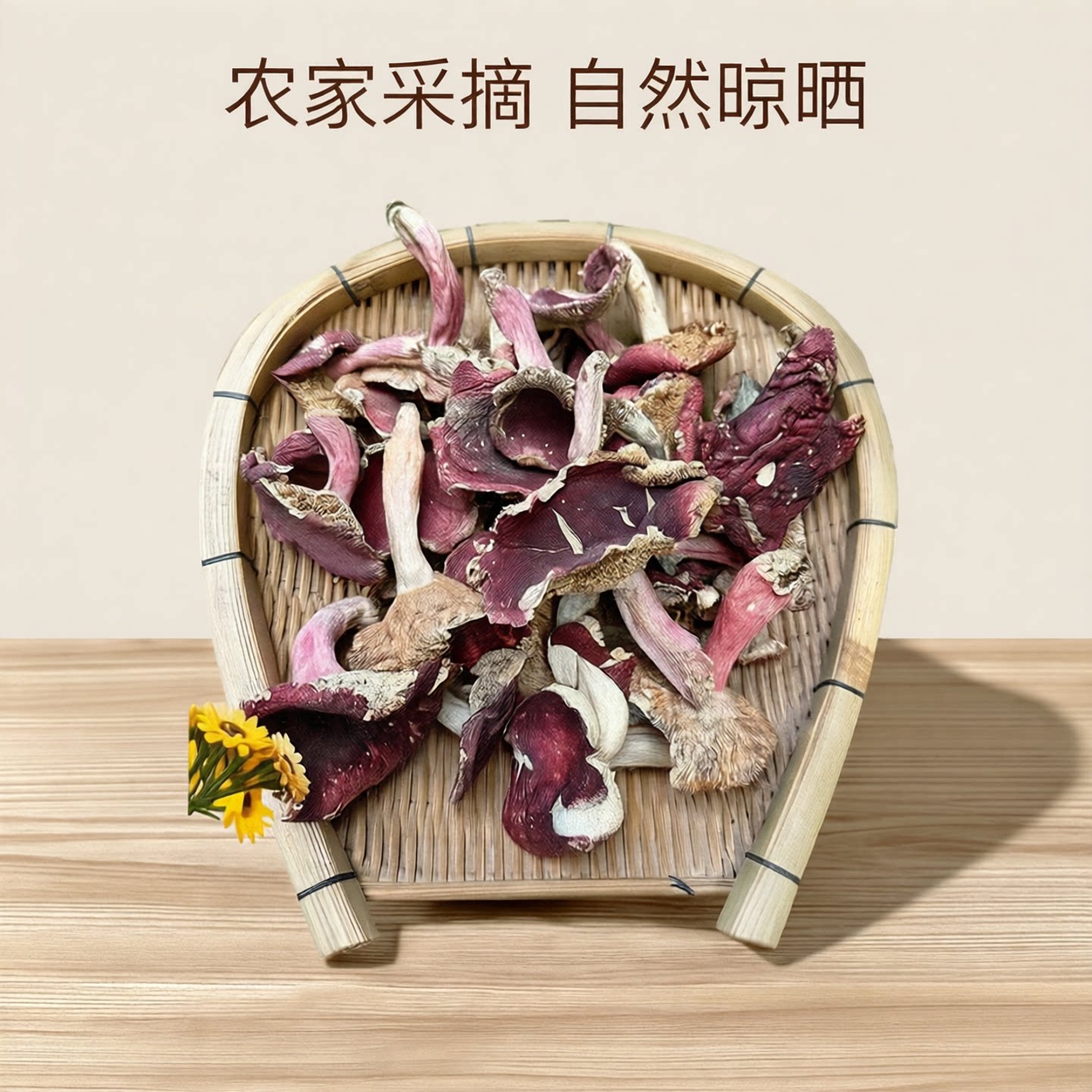 福建三明野生红菇干货正红蓝底