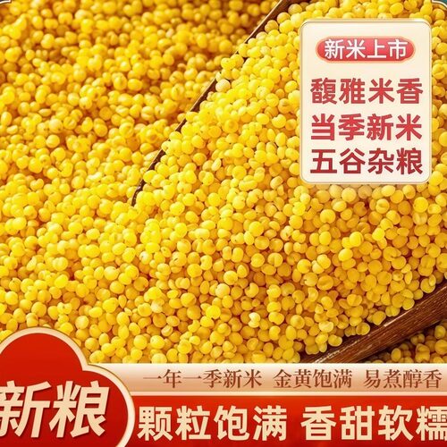 黄小米新米农家小黄米