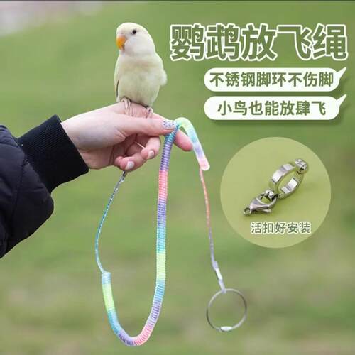 鹦鹉户外放飞绳玄凤牡丹虎皮脚环脚链不伤脚遛鸟绳专用防咬训练绳