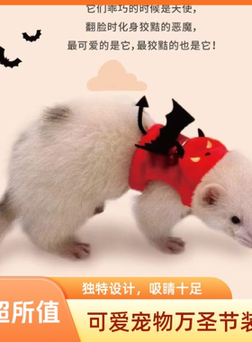 雪貂胸背牵引绳万圣节防咬
