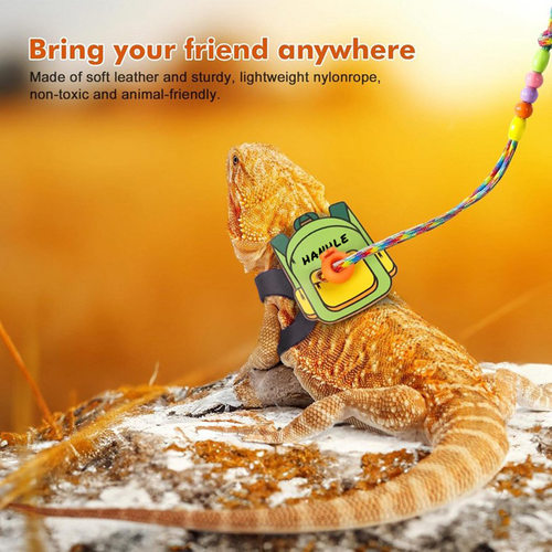 爬虫外出变装翅膀牵引绳