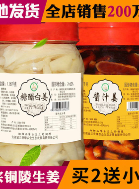 【安徽特产】铜陵生姜白姜腌制仔姜嫩姜韩国泡菜糖醋泡姜下饭酱菜