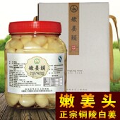 嫩姜头仔姜芽铜陵生姜新鲜糖醋酸姜盐水无蔗糖醋泡姜 安徽特产