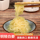 脆嫩无渣糖醋姜丝铜陵生姜白姜糖醋泡生姜酸甜生姜酱汁咸香姜特产