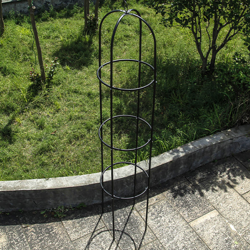 植物花卉绿植鲜花爬藤架