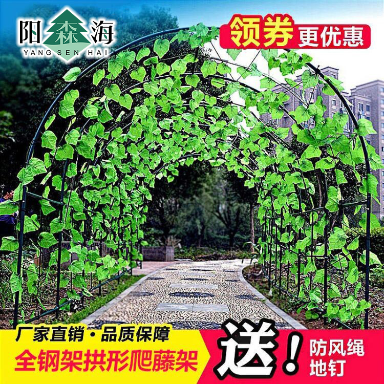 户外爬藤架子攀爬支架庭院钢管葡萄架月季铁线莲藤蔓植物拱门花架-封面