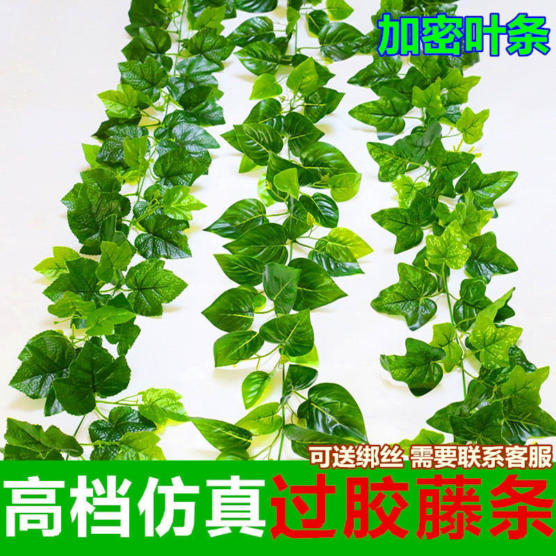 仿真绿萝葡萄叶藤条过胶爬山虎叶吊顶拉花装饰植物假树叶常青藤蔓