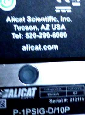ALICAT P-IPSIG-D/10P