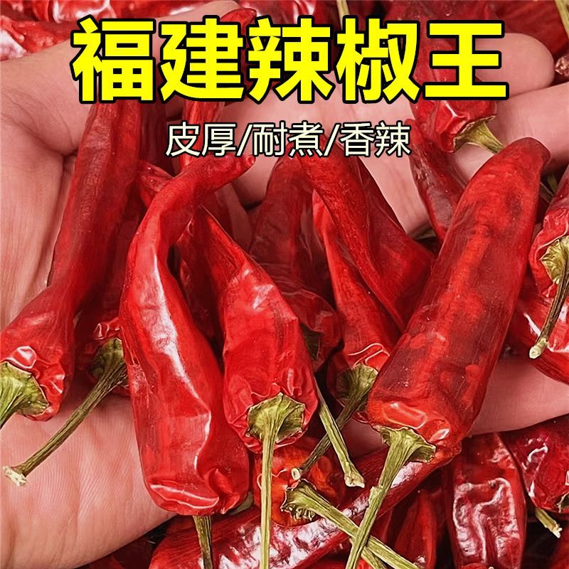 福建辣椒王香辣耐煮干辣椒五斤包