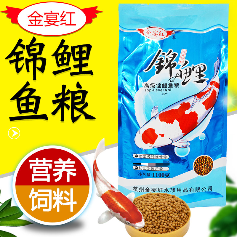 金宴紅錦鯉魚食金魚獅子頭營養