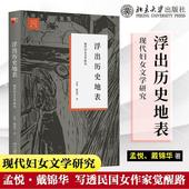 戴锦华 运用女性主义研究中国现代女性文学史 文学与当代史女性批评理论 北京大学出版 社 浮出历史地表 现代妇女文学研究 北大正版