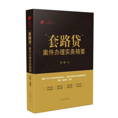 正版 套路贷案件办理实务精要 何建 根据新民法典民间借贷司法解释编 民事纠纷民间借贷房屋买卖案例分析 刑事犯罪法律书籍