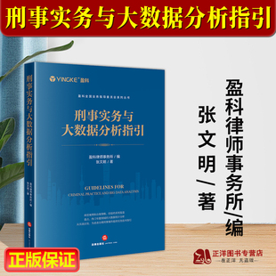 正版2024新 刑事实务与大数据分析指引 盈科律师事务所 张文明 刑事控告 刑事辩护 刑民交叉案件 刑事案件实务 法律9787519786304