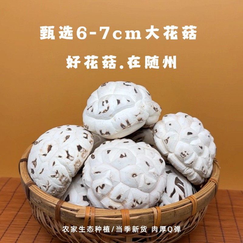 随州大花菇6-7cm特级出口冬菇香菇干货农家特产煲汤炖鸡食材500克