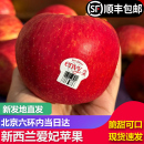 新西兰进口爱妃苹果envy大苹果高档新鲜水果红苹果 包邮 顺丰