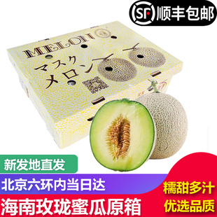 【北京当日达】海南玫珑蜜瓜新鲜网纹瓜哈密瓜礼盒装甜瓜孕妇水果