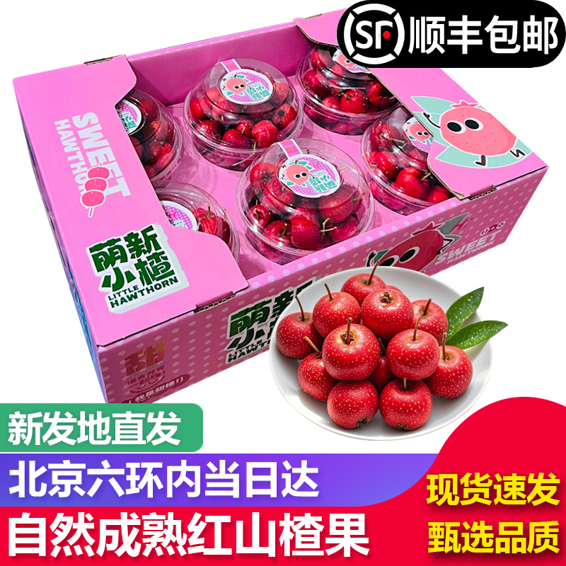 【顺丰包邮】红甜子山楂新鲜小红丸糖葫芦当季水果酸甜山楂果当季