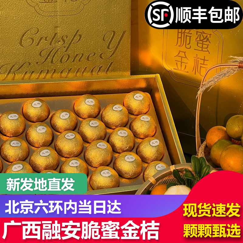 【顺丰包邮】融安脆蜜金桔金柑第三代独立包装礼盒装纯甜新鲜水果