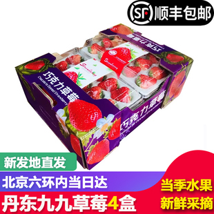 【顺丰包邮】丹东九九草莓新鲜甜草莓4盒礼盒装红颜草莓水果同城