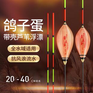黑坑野钓鸽子蛋行程漂急流漂抗流水芦苇浮漂枣核浮漂鲫浅水冰钓漂