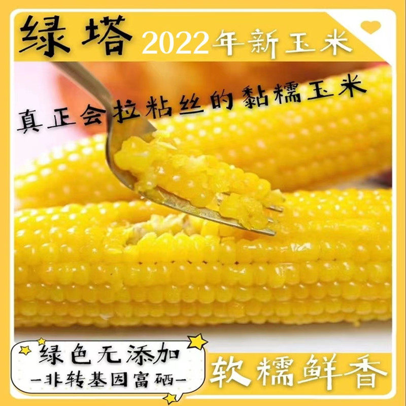 绿塔东北2022新鲜糯玉米富硒速冻甜糯玉米整箱非转基因黏黄糯20棒
