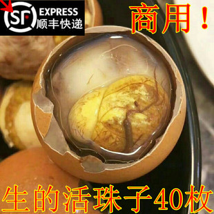商用！生的13天活珠子】40枚新鲜新鲜鸡胚蛋生钢化蛋生毛鸡蛋包邮