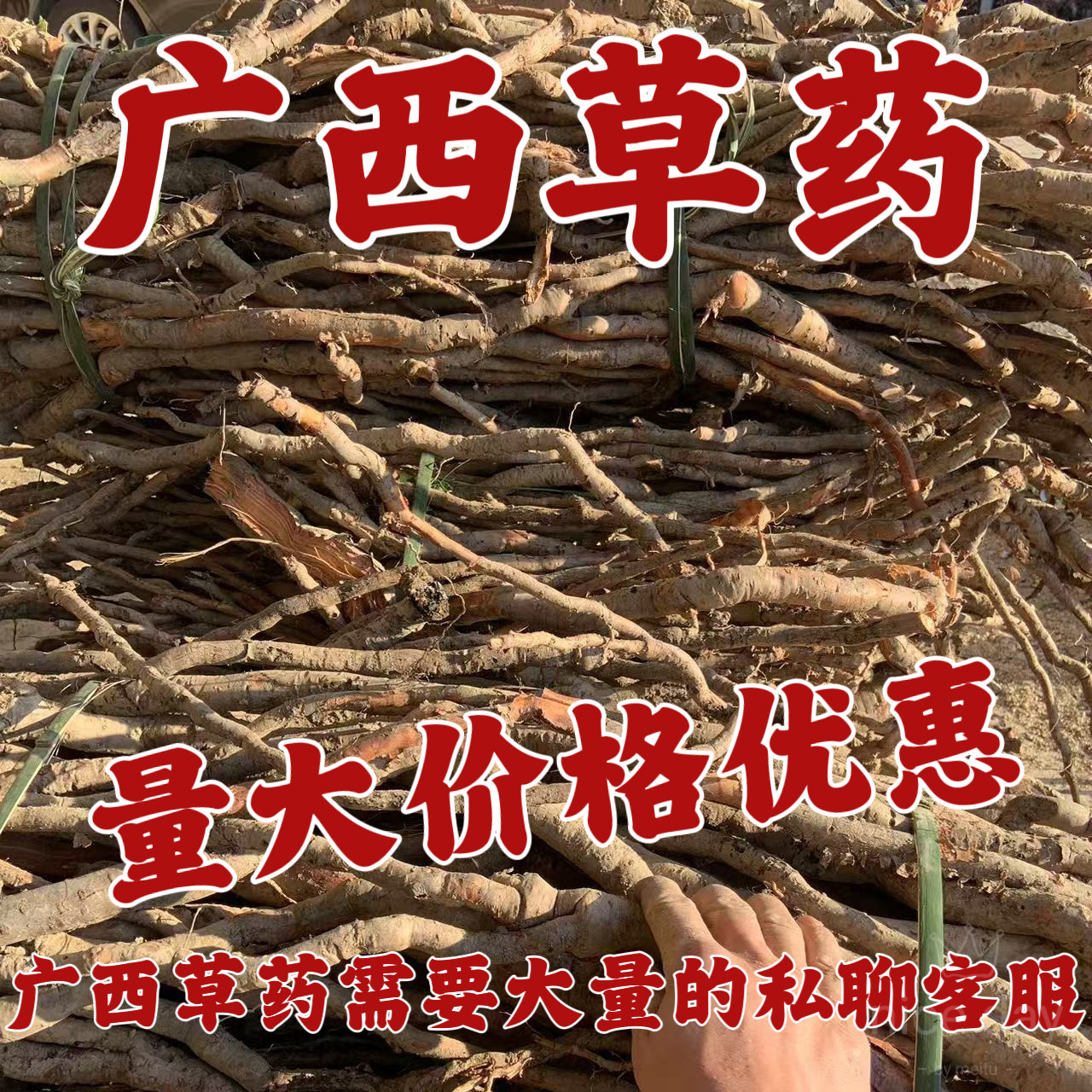 山苍子葡萄根三桠苦大风艾枫姜地胆头白花臭草地捻子楤木根酸藤子