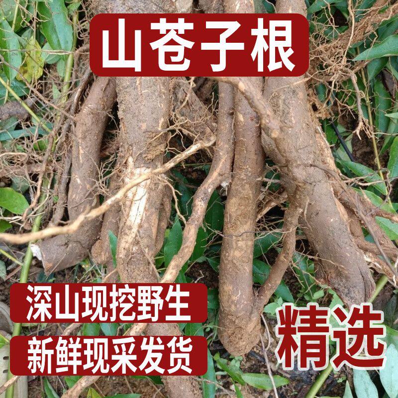 新鲜山苍子根 山鸡椒 山苍树木香子木姜子新鲜发货干品