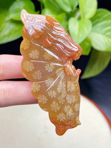天然珊瑚玉赞比大花蝴蝶仙子雕刻