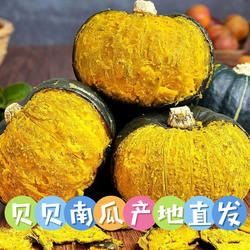 【顺丰/京东】山东贝贝南瓜板栗味粉糯宝宝辅食整箱批发产地直发