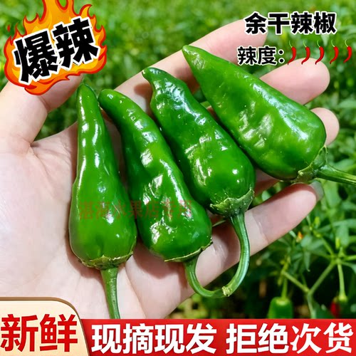 超辣余干辣椒新鲜现摘特辣小辣椒