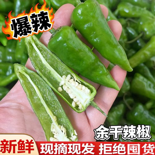 新鲜现摘超辣余干辣椒特辣土辣椒